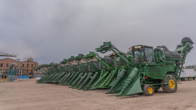 Zafra en el ex ingenio Tabacal