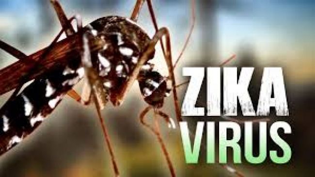 Un caso de Zika confirmado