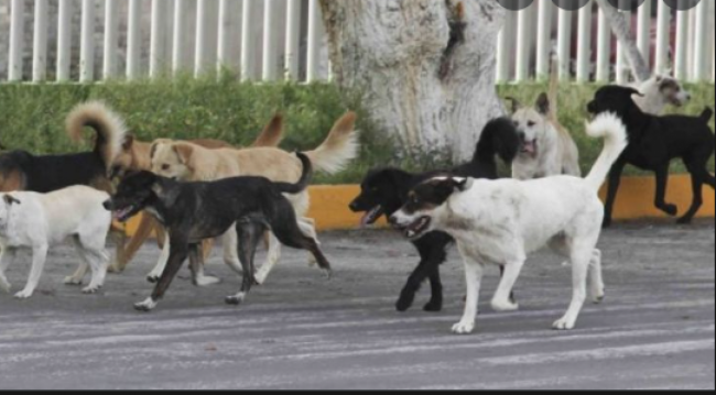 El ataque ocurrió el 21 de junio