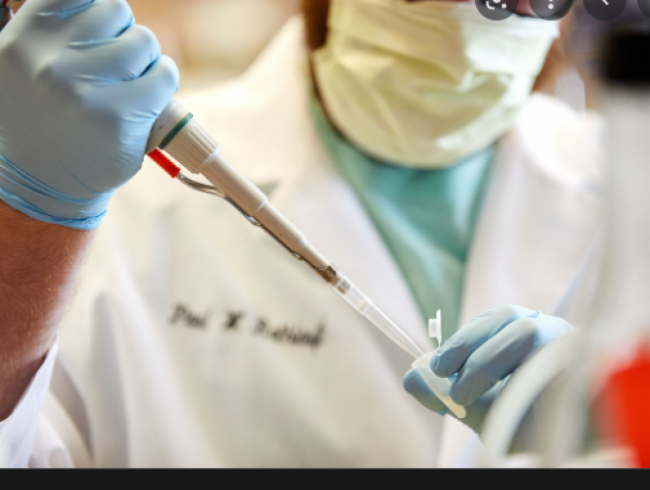 Los casos ya suman 154.845