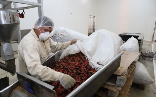 Día mundial de las Pymes