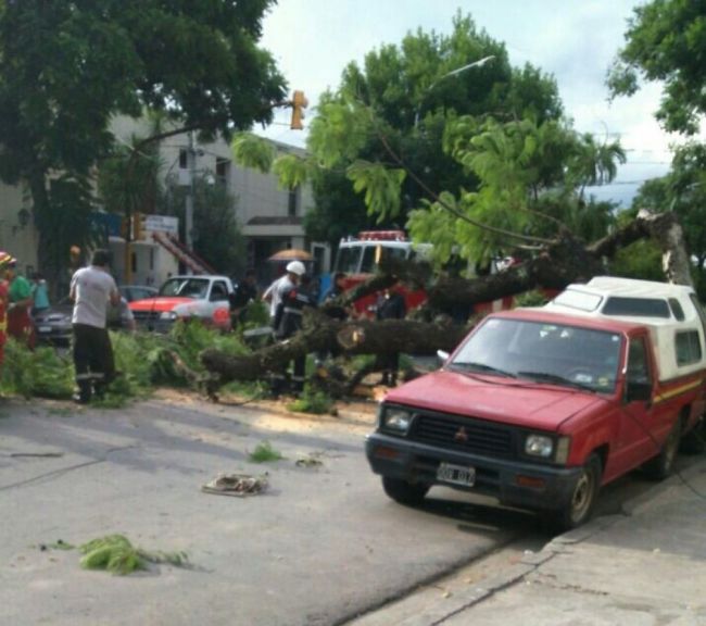 Crédito foto: @saetasalta