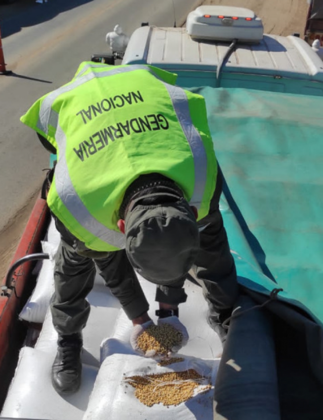 Contrabando de granos