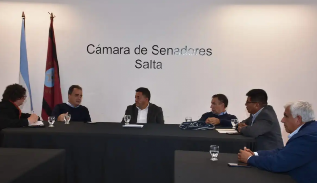 Senadores con CAPEMISA