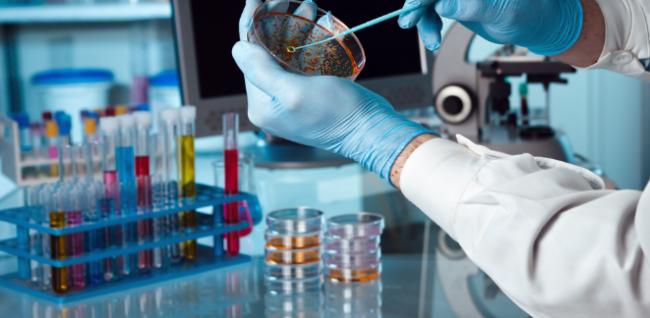 Descendieron los casos en la última semana