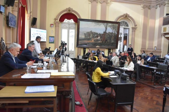 Media sanción a la suspensión de las PASO