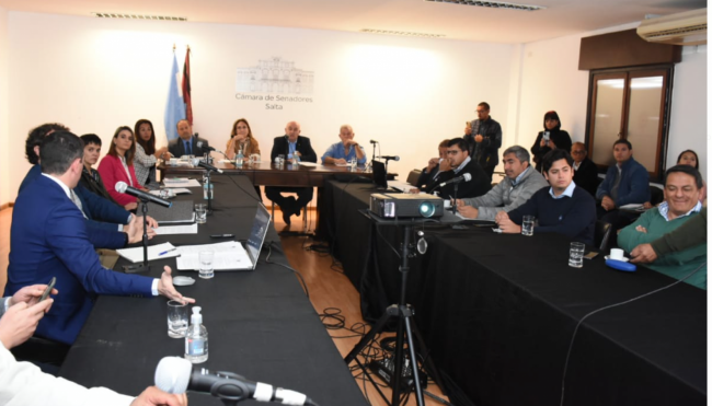 Reunión de la Bicameral  en el Senado