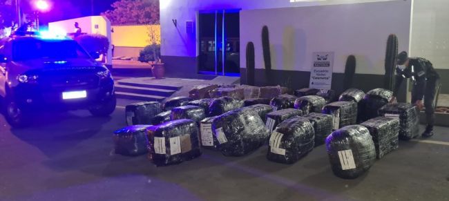 Secuestro de hojas de coca