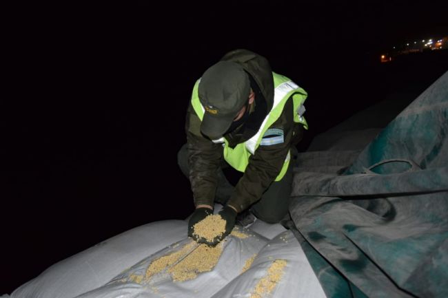 Contrabando de granos