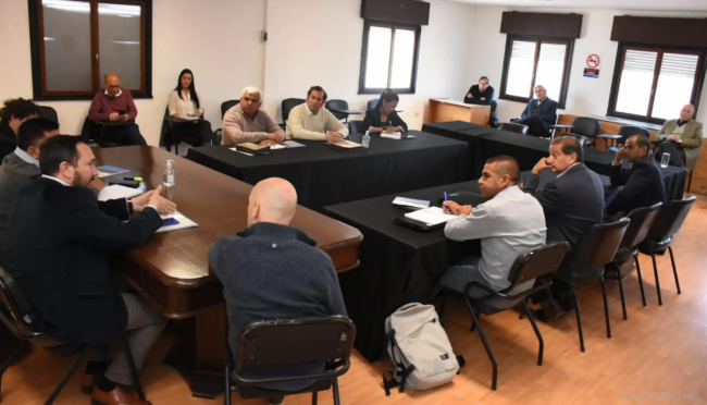 Informe de Remsa en el Senado