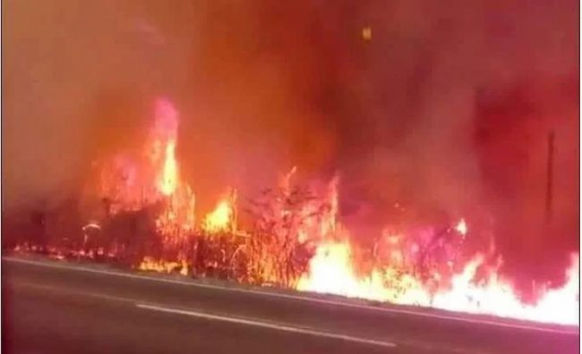 Incendios forestales en Jujuy