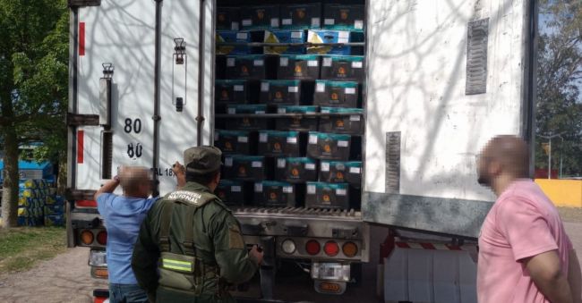 Coca en cargamento de bananas