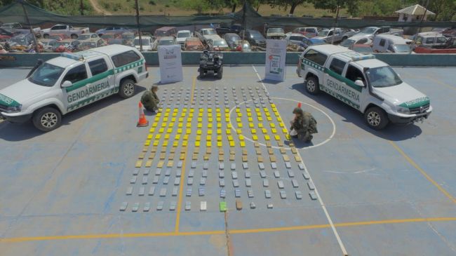 La droga encontrada entre la maleza