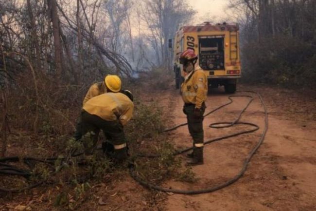 Incendios forestales