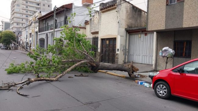 Consecuencias del temporal
