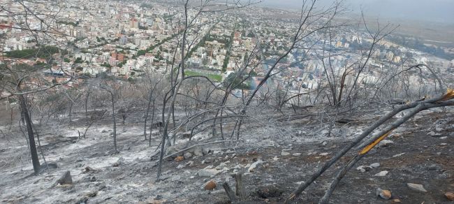 Incendios en el cerro 20 de febrero