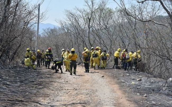 Incendios forestales en Salta