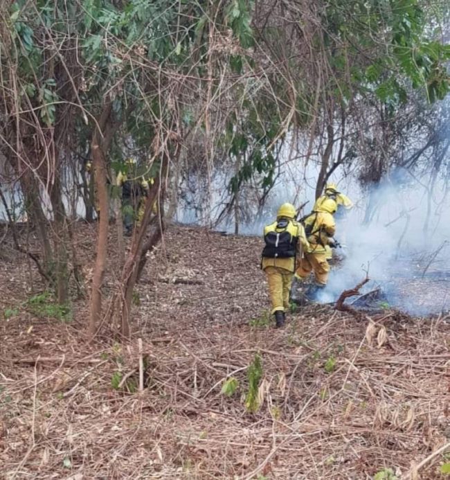 Bomberos voluntarios en acción