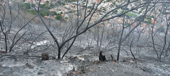 Cerros afectados por el fuego