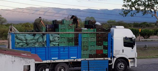 Secuestro de hojas de coca