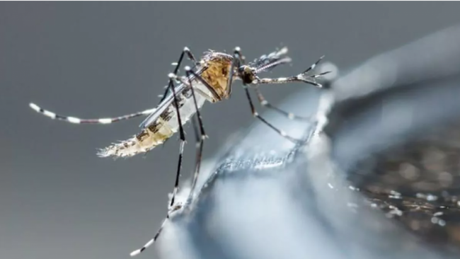 Sin casos por el momento