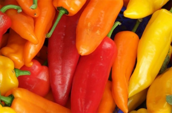 familias de La Candelaria producen ají