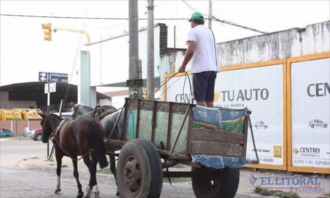 El 4 de agosto termina la tracción a sangre en Salta