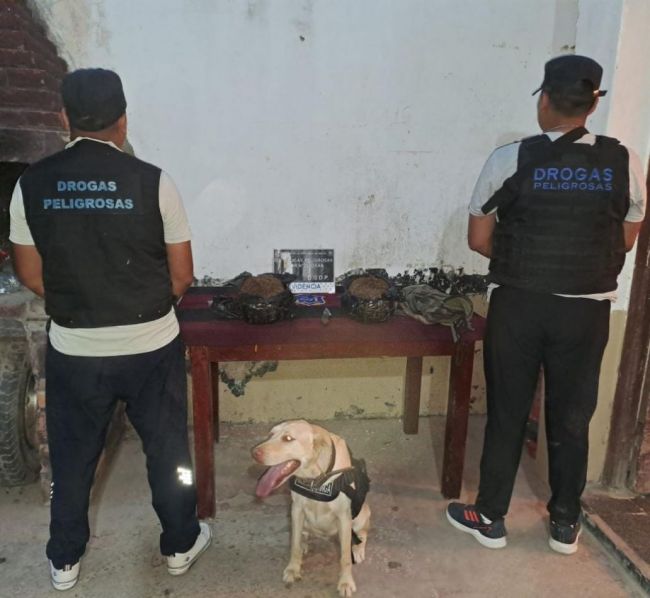 La droga secuestrada