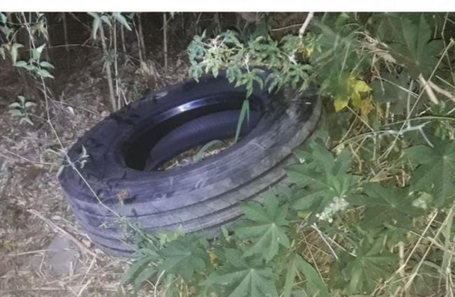 Neumático recuperado