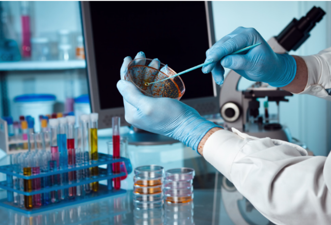 Informe epidemiológico