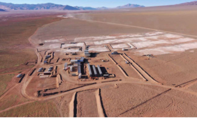 Proyecto Centenario Ratones