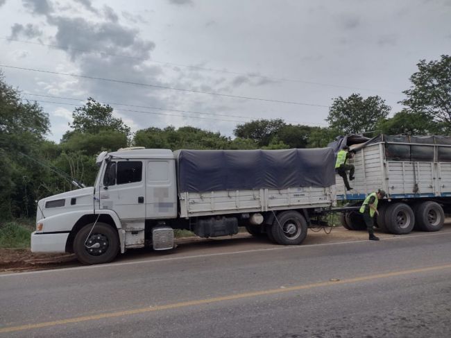 Contrabando de granos