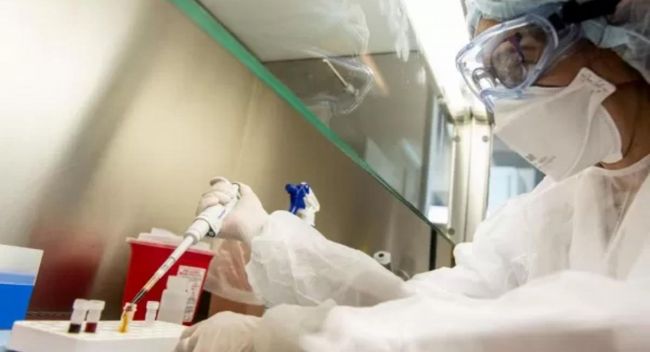 Informe del Ministerio de Salud