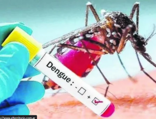 Aumentan los casos de dengue