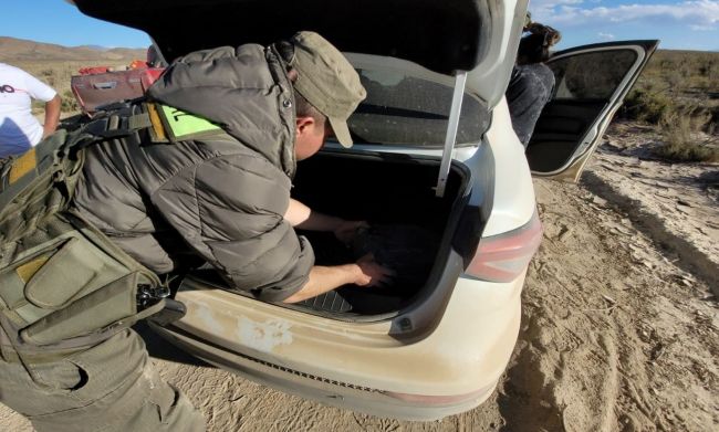 Secuestro de hojas de coca