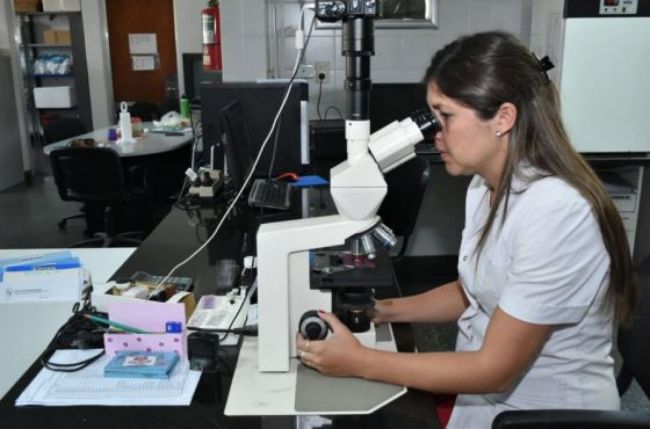 Informe epidemiológico