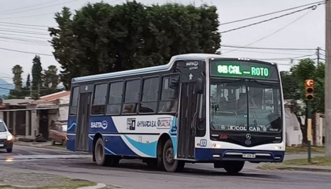 Colectivo gratis el domingo