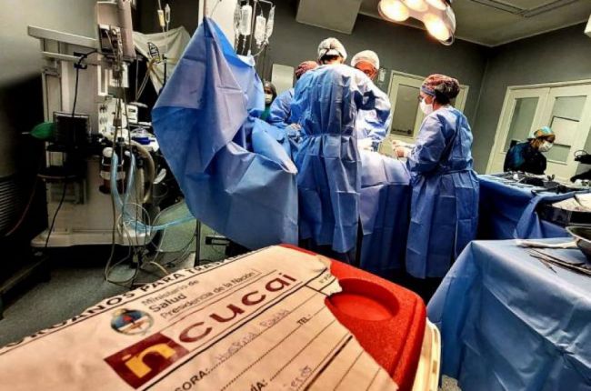 Día Nacional de la Donación de Órganos y Tejidos