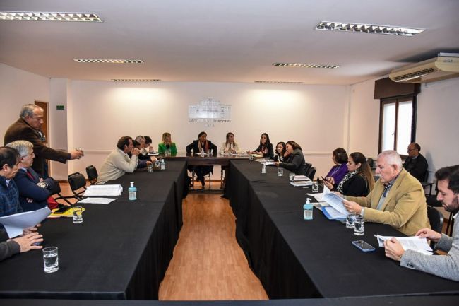 Trabajo en el Senado