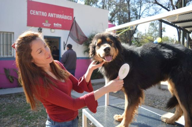 No hay retorno de la "perrera"
