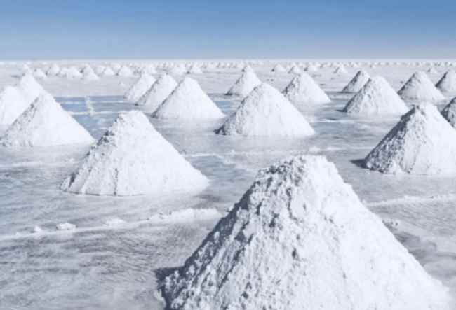 Nueva defensa del litio como recurso provincial