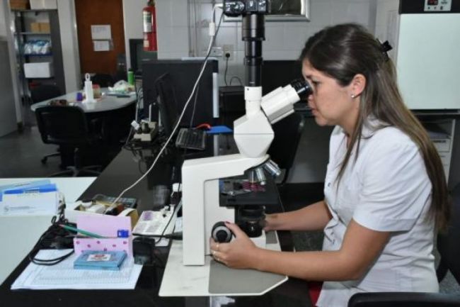 Informe epidemiológico