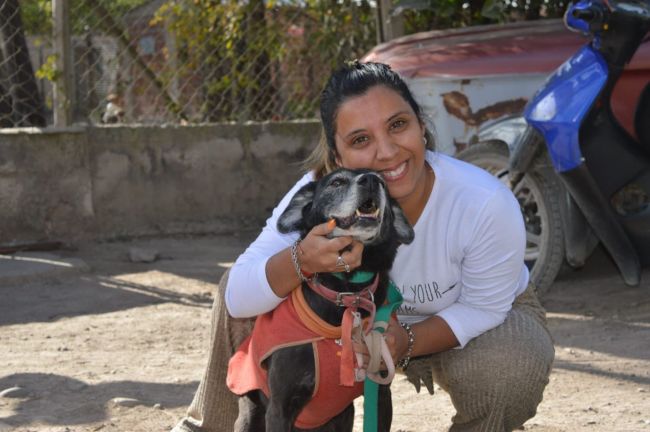 A celebrar el día del amigo con las mascotas
