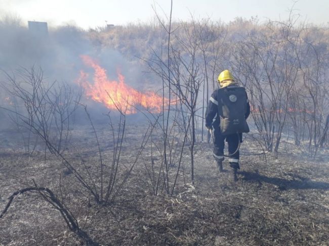 Peligro de incendios por el calor y la baja humedad