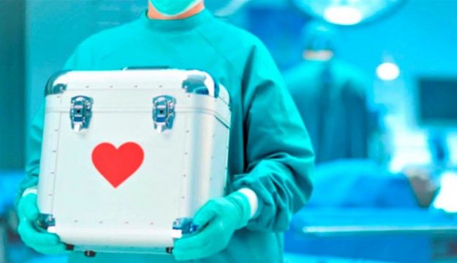 Donación de órganos