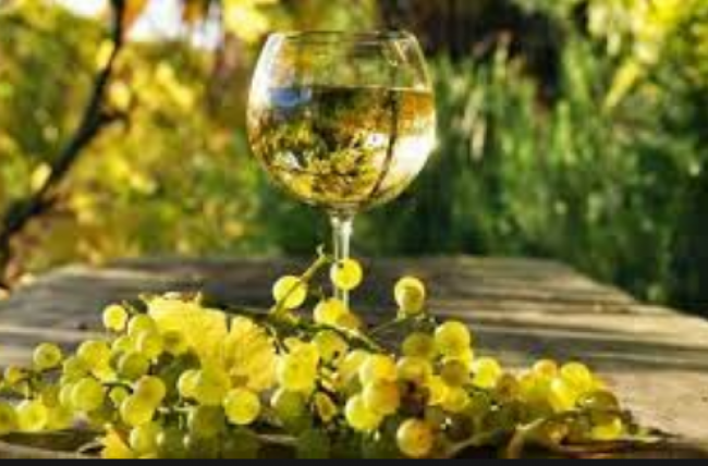 Semana del torrontés de altura