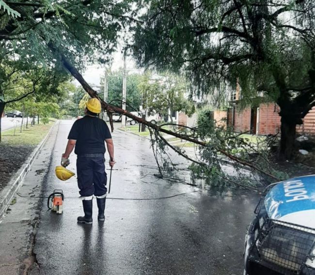 Alerta Meteorológica