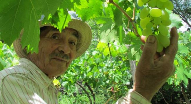 El proyecto pasó a Diputados