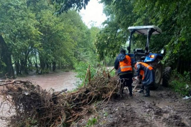 Consecuencias del temporal