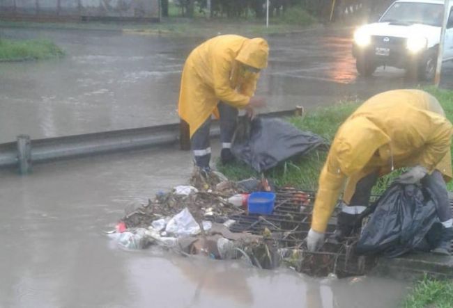 Limpieza de invornales